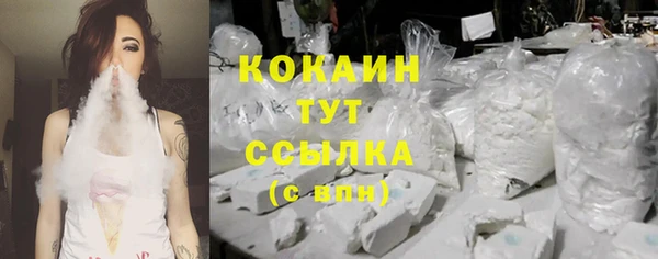 твердый Алексин