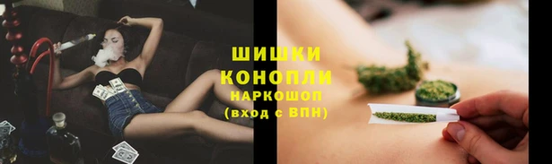дмт Алзамай