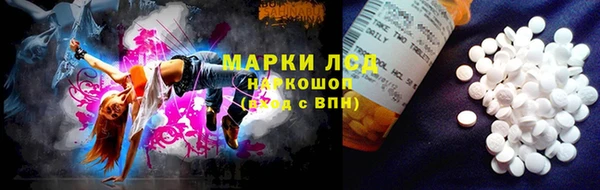 дмт Алзамай