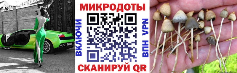 Галлюциногенные грибы Magic Shrooms  Нытва 